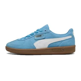 Puma Puma, Heren, Sport, Blauw, Maat: 43 EU Leer