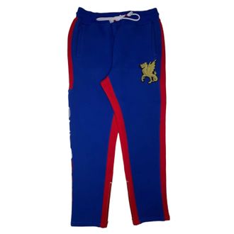 Iro-Ochi Mens Dragons Jogger In Royal Blue