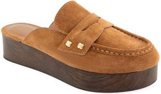 Splendid Quintana Platform Clog in Macchiato at Nordstrom, Size 11