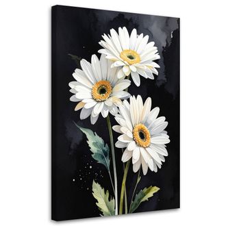 Feeby Impresi&oacute;n De Imagen Flores De Margarita Blancas Sobre Fondo Negro 70x100