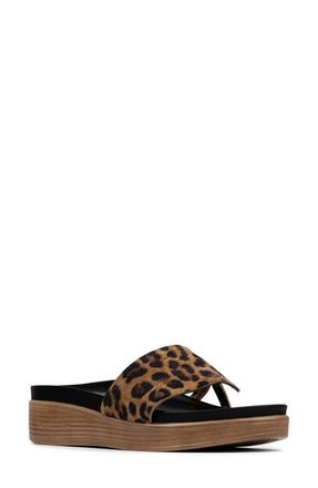 Donald J Pliner Fifi Sandal in Leopard at Nordstrom, Size 5.5
