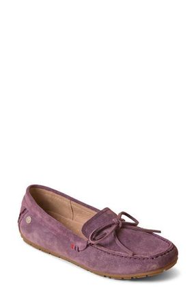 Minnetonka Moc Toe Driving Loafer in Dusky Amethyst at Nordstrom, Size 6.5