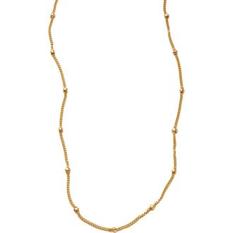 Made by Mary Satellite Chain in Gold Filled at Nordstrom, Size 14