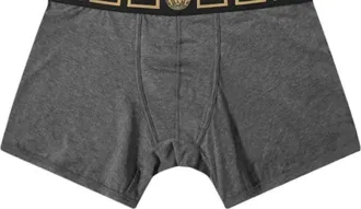 Versace Mens Long Trunk With Greca Border In Grey/gold