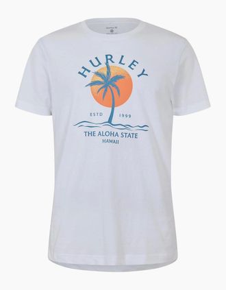 Hurley Hurley Mens Plmy Day Ss T Sn99 - White - Size: 2X large