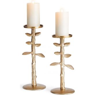 Napa Home & Garden Brier Candle Stands Set of 2 in Gold at Nordstrom