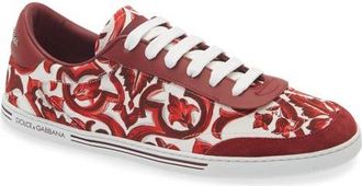 Dolce & Gabbana Majolica Print Low Top Sneaker in Iy3Tn Maiolica 1 Rubino at Nordstrom, Size 42