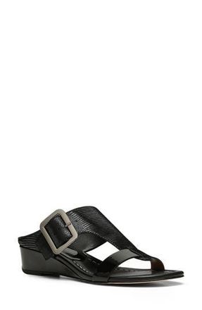 Donald J Pliner Vine Buckled Wedge Sandal in Black at Nordstrom Rack, Size 8