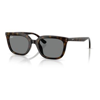 Ray-Ban Rb 4439D Zonnebril - unisex - Zonnebrillen - Bruin - 54 MM - Accessoires