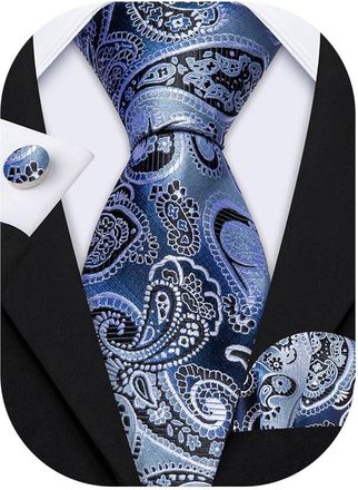 Barry.Wang Blue Paisley Tie Mens Silk Necktie Pocket Square Cufflinks Set Christmas Wedding Party