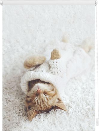 Lichtblick Original Seitenzugrollo »Klemmfix Digital Sleepy Cat« verdunkelnd energiesparend ohne Bohren freihängend bedruckt