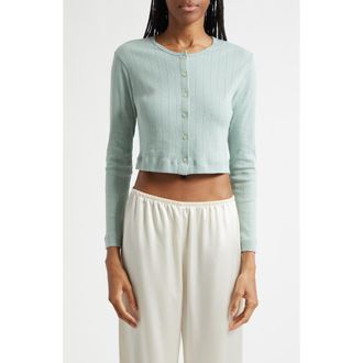 Leset Cotton Pointelle Crop Cardigan in Eucalyptus at Nordstrom, Size X-Small