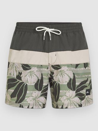 O'Neill Cali Block 15 Boardshorts groen