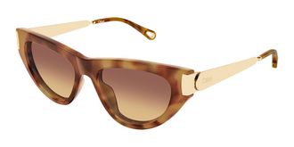 Chlo&eacute; CH0350S 002 Womens Sunglasses Tortoiseshell Size 54