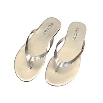 Generic Stylish Women Thong Sandals Slip On Flat Summer Beach Casual Comfortable Footwear Fashionable Open Toe Slides (Silver, 5.5)