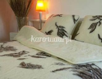 OEM Juego De Lana Merino: Edred&oacute;n 220x200, 2 Almohadas 50x60, S&aacute;bana De Lana 220x200. Productos De Rehabilitaci&oacute;n Y Calefacci&oacute;n Napoleon