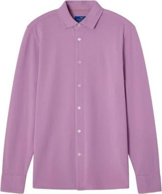 Robert Talbott Foster Long Sleeve Knit Shirt in Lavender at Nordstrom, Size X-Large