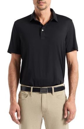 Robert Graham Canto Knit Polo in Black at Nordstrom Rack, Size Medium