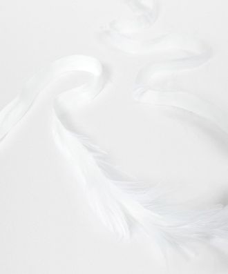 Ann Demeulemeester Zena hanenveren op katoenen lint