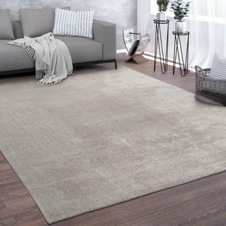 Paco Home Paco Home Tappeto Salotto Pelo Corto Lavabile Monocolore Moderno Morbido Argento 300x400 cm