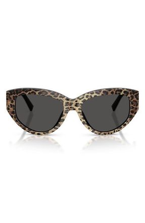 Dolce & Gabbana 55mm Cat Eye Sunglasses in Leo Brown On Black /Dark Grey at Nordstrom