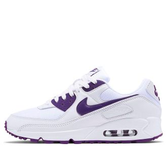 Nike Air Max 90 Color Pack - Court Purple CT1028-100