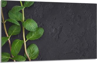 OEM Protector De Cristal Para Estufa 80x52 Menta