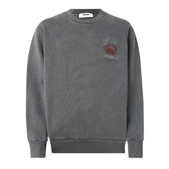 Msgm Sweatshirts, female, Gray, Size: M Felpa