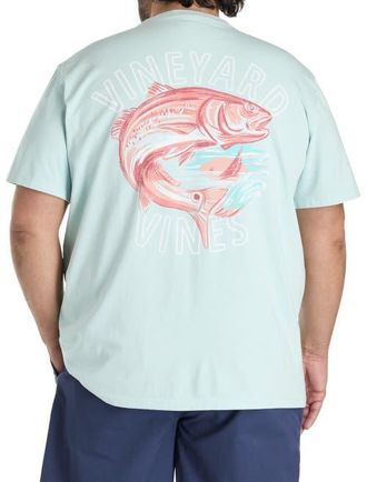Vineyard Vines Big & Tall Painted Redfish Graphic Tee in Aqua Haze at Nordstrom, Size 2X Big