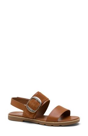 Sorel Ella III Slingback Sandal in Iced Tea/Gum 2 at Nordstrom, Size 10.5