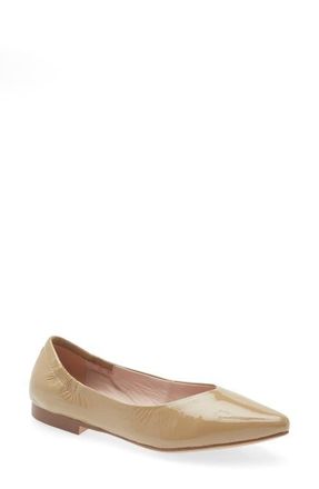 Cordani Mavis Pointed Toe Flat in Creta at Nordstrom, Size 5.5Us