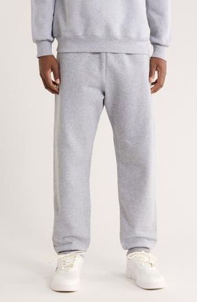 Hanes Ecosmart Fleece Joggers in Light Steel at Nordstrom Rack, Size Medium