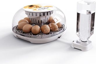 OEM Incubadora Autom&aacute;tica De Huevos, Incubadora Para 12 Huevos Con Volteo Autom&aacute;tico Y Control De Temperatura, Adici&oacute;n Autom&aacute;tica De Agua, Incubadora Led,