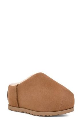 UGG Pumped Slide Slipper in Che at Nordstrom Rack, Size 10
