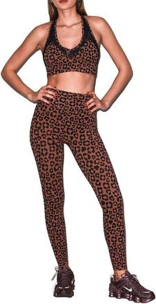 Fleur du Mal Le Stretch Lace Sports Bra in Neautral Leopard at Nordstrom, Size X-Large