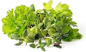 Click and Grow Click And Grow Jard&iacute;n Inteligente Mezcla De Semillas De Lechuga