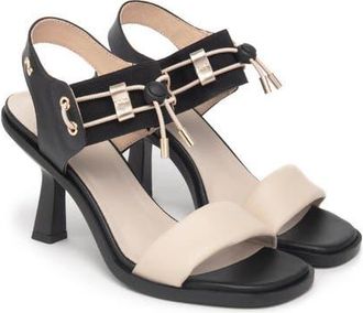 Nero Giardini Bungee Ankle Strap Sandal in Black at Nordstrom, Size 11Us