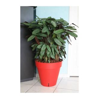 Riviera & Bar Riviera Pot De Fleurs Loft Avec Reserve Deau - Rond - O 50 X H 46 Cm - Rouge