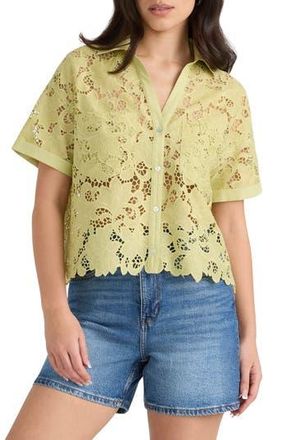 NVLT Sheer Cotton Lace Camp Shirt in Pistachio at Nordstrom Rack, Size X-Small