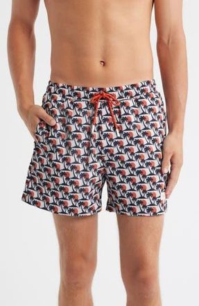 Sealskinz Southwood Swim Trunks in Blue Palm Print at Nordstrom Rack, Size X-Large