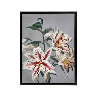 Artery8 White Pink Spotted Lily Flowers Framed Canvas Wall Art Print Kazumasa | Size: W24 x H32