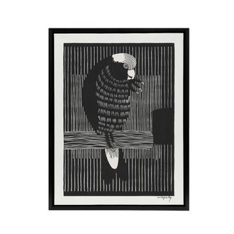 Artery8 Stylised Galah Cockatoo Bird De Mesquita Framed Canvas Wall Art Print in Black | Size: W24 x H32