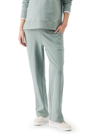 Ripe Relax Jogger in Sage at Nordstrom, Size Xx-Large 29 Au