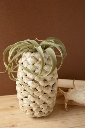 Kalalou Ceramic Shells Vase