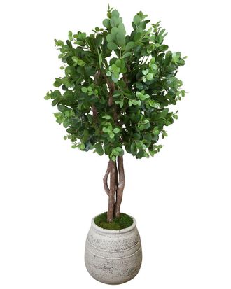 Creative Displays Inc. Oriental Ficus Tree In Stone Pot
