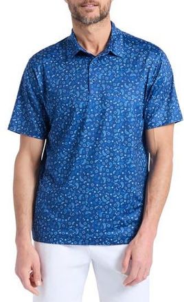 Robert Graham Bandana Drinks Knit Polo in Navy at Nordstrom Rack, Size Xx-Large