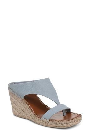 Franco Sarto Farren Espadrille Platform Wedge Sandal in Dusty Blue at Nordstrom, Size 10