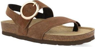 Naot Baltimore Slingback Sandal in Brown Cedar Suede at Nordstrom, Size 10Us