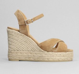 Castaner Blaudell-8Ed-007 Wedges