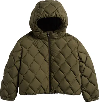 Moncler Kids Ava Quilted Down Jacket in Green at Nordstrom, Size 18-24M